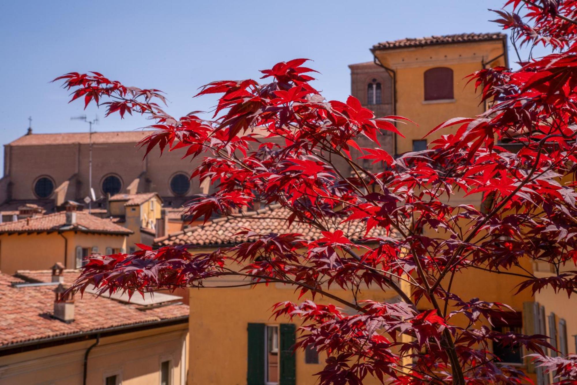 Piazza Maggiore Santa Margherita B&B Болонья Номер фото